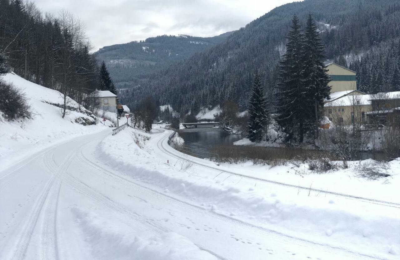 Riverside Ski Apartment Ramingstein エクステリア 写真
