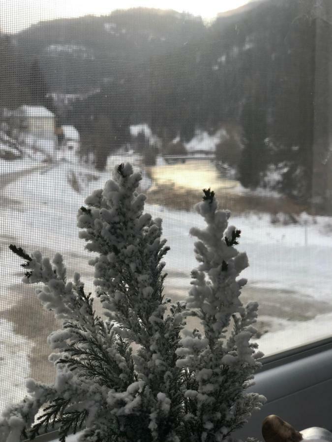 Riverside Ski Apartment Ramingstein エクステリア 写真
