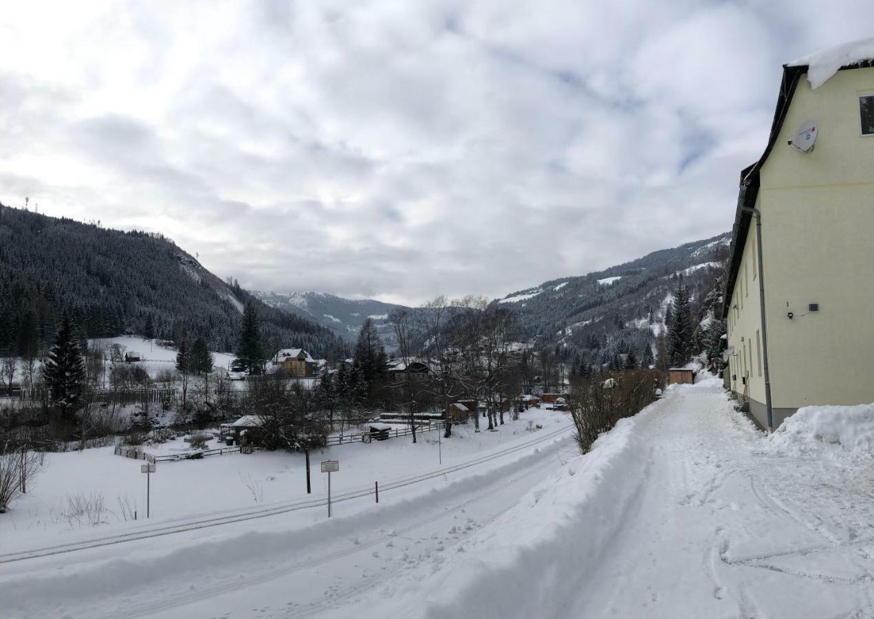 Riverside Ski Apartment Ramingstein エクステリア 写真
